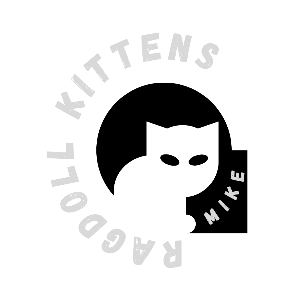 Mike Ragdoll Kittens